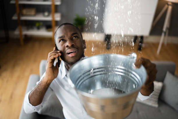 Best Local water damage restoration  in Etna, PA