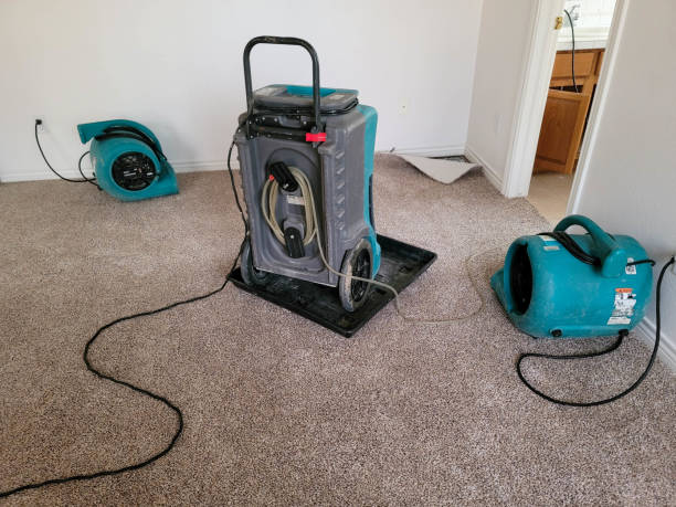 Best 24/7 water damage repair  in Etna, PA