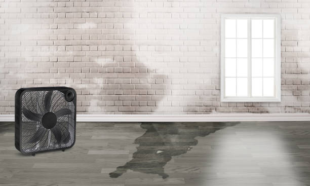 Best Water damage restoration near me  in Etna, PA