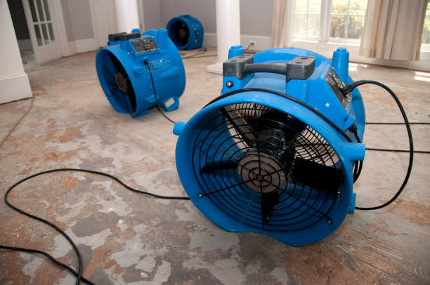 Best Basement water damage restoration  in Etna, PA