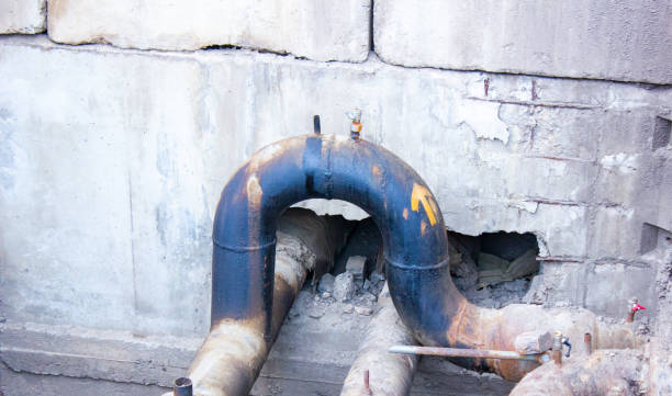 Best Water damage cleanup near me  in Etna, PA