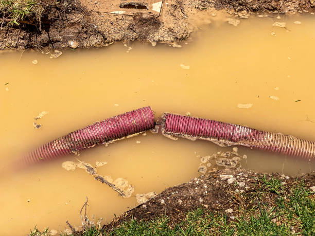 Best Sewage cleanup and water damage restoration  in Etna, PA